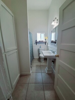 Hair dryer, towels, soap, shampoo