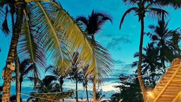 A tropical resort with palm trees, a thatched-roof building, and string lights. - Sea View Clay House Dikwella (Dikwella)