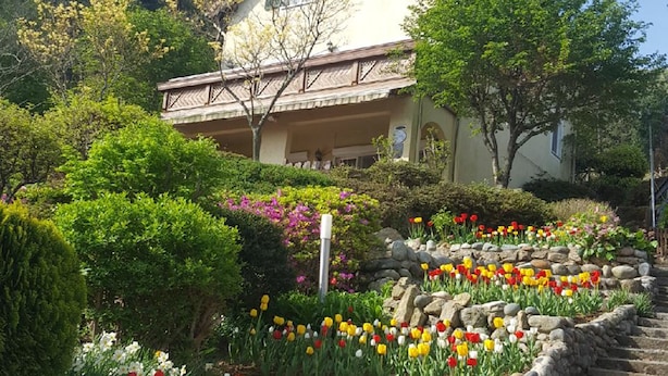 A house with a stone staircase leading up to a porch, surrounded by a garden with colorful tulips and various shrubs. - German Village Gelbe Haus (Namhae)