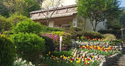 German Village Gelbe Haus