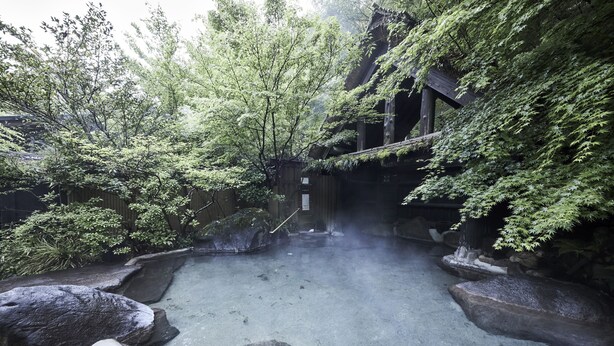 A traditional Japanese garden with a stone path, large rocks, and lush greenery. - Kurokawa Onsen Okunoyu (Minamioguni)