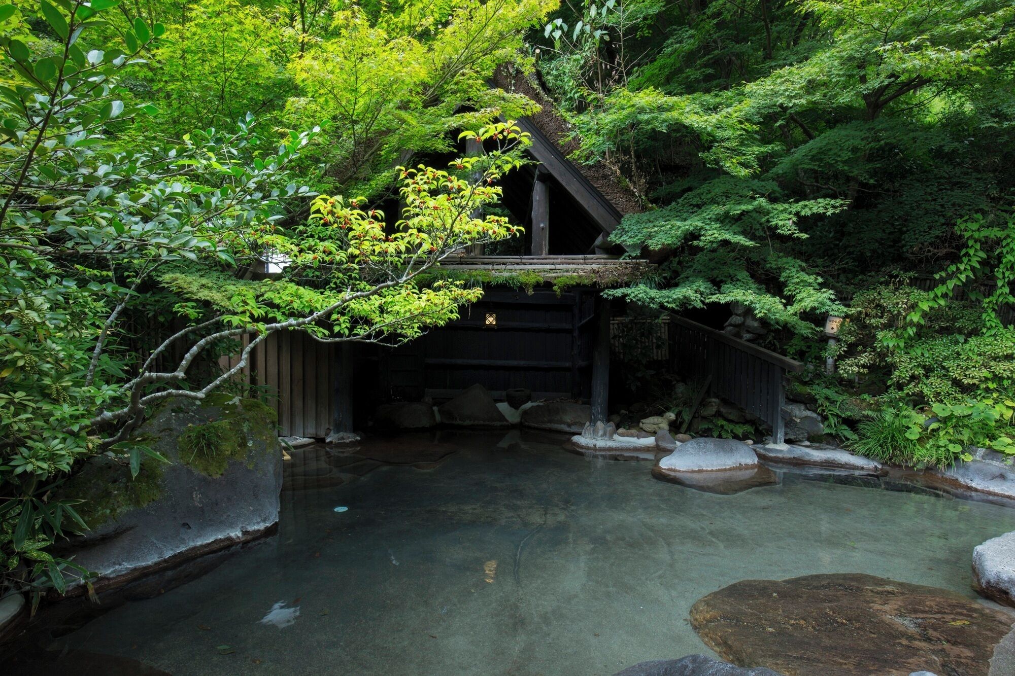 En traditionel japansk have med en trækonstruktion, et bassin og frodig vegetation.