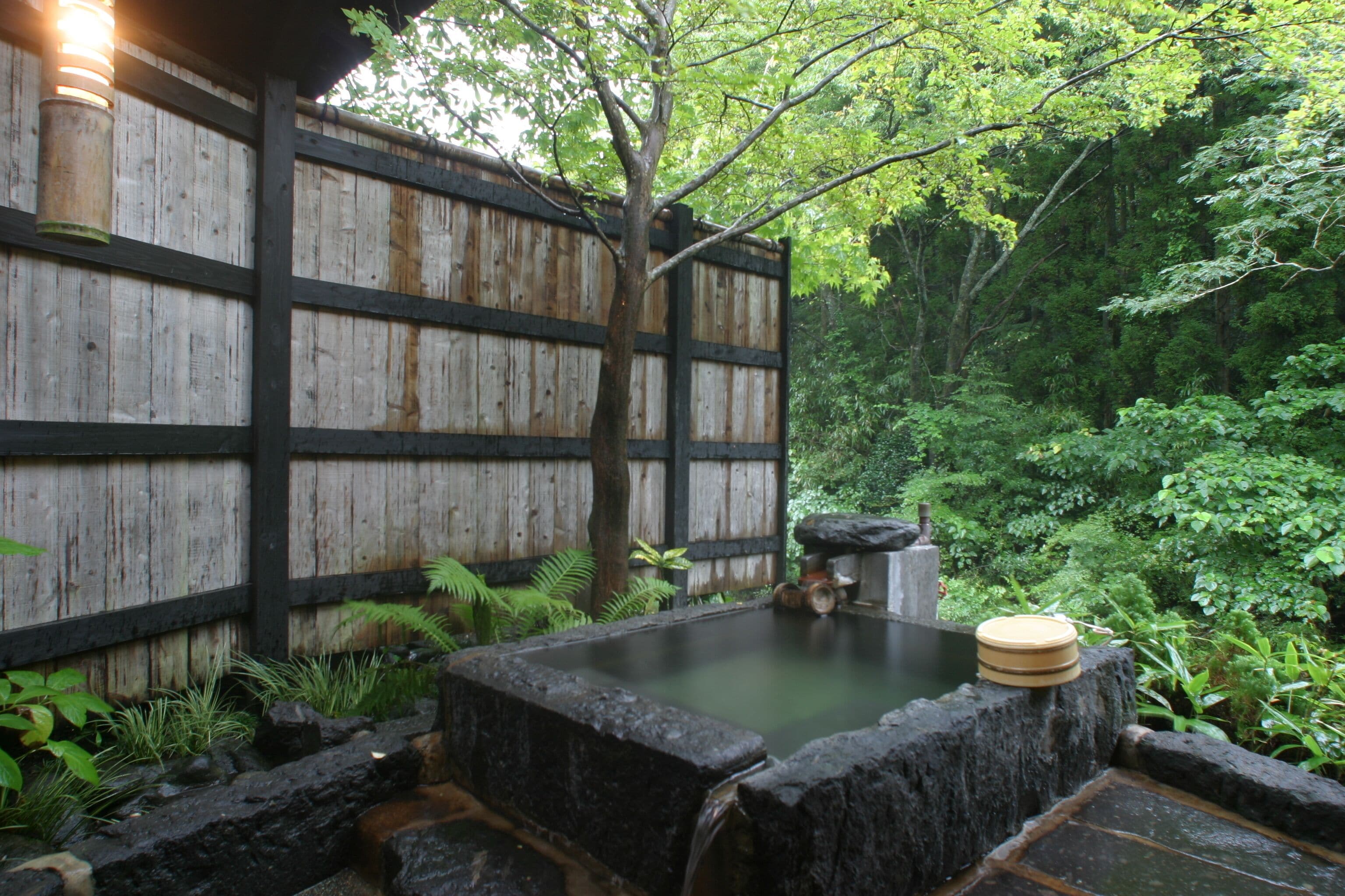 A traditional Japanese onsen with a wooden fence, a stone hot spring, and lush greenery.