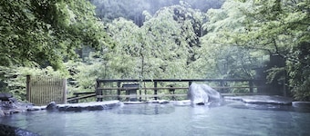 黒川温泉 奥の湯