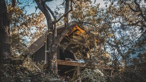 Een boomhuttenverblijf, verscholen in weelderige begroeiing, met een houten terras en een klein raam.