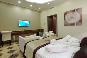 Standard Room | Minibar, in-room safe, individually furnished, desk - Arcanum Hotel (Bekescsaba)