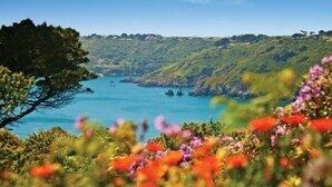 Paisaje costero con vista despejada al mar, colinas verdes y una variedad de flores coloridas en primer plano.