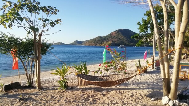 A beach with a hammock, plants, and flags.