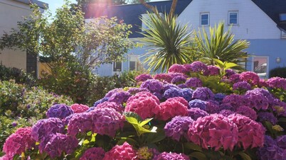 Superior Garden Cottage with Private Outdoor Courtyard