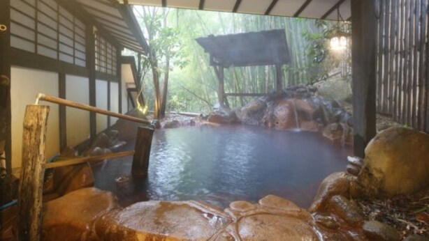 Separate bathtub and shower, free toiletries, hair dryer, slippers - Ryokan Yumotoso (Minamioguni)