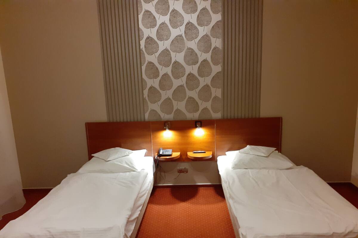 Una habitación de hotel con dos camas individuales, un cabecero de madera, un papel tapiz estampado y una alfombra roja.