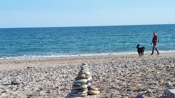Sun loungers, beach towels
