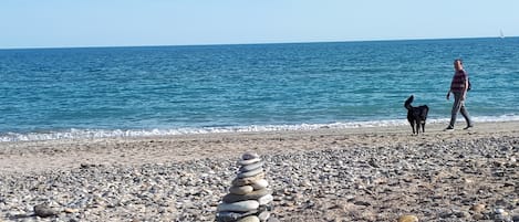 Sun-loungers, beach towels
