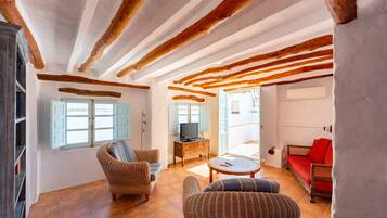 Smart TV, fireplace, books