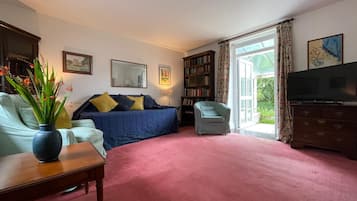 Smart TV, fireplace, books