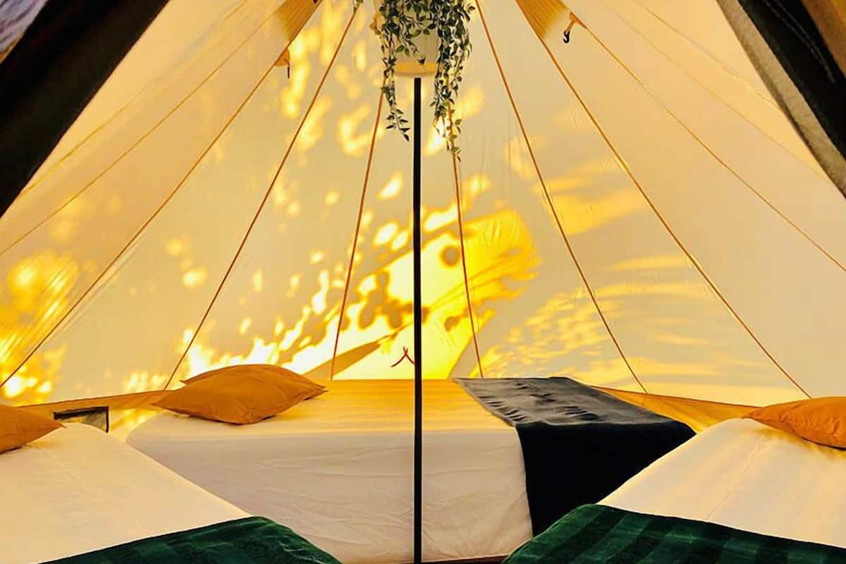 Tent, 3 Single Beds | Bed sheets