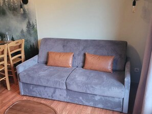 TV - 3-Room Apartment, 6 People, Pets Allowed, Balcony (Le Dévoluy)