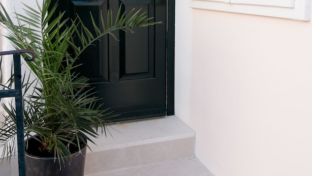 Een zwarte deur met decoratieve glaspanelen, witte luiken en een plant in pot op de treden.