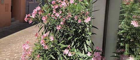 City view from property