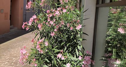 Stadthaus Rosengasse