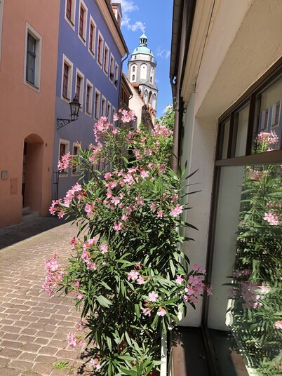 Stadthaus Rosengasse