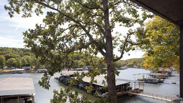 Une zone portuaire au bord de l’eau, avec des bateaux, un arbre et une vue sur le lac et les bâtiments environnants.