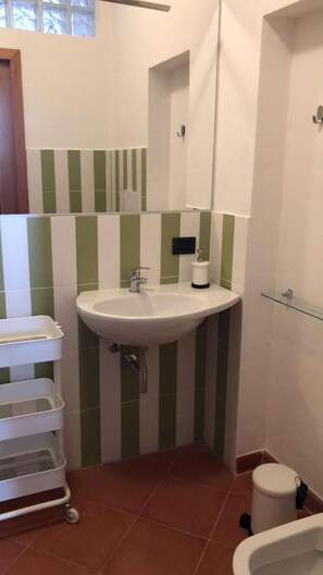 Shower, hair dryer, bidet, towels