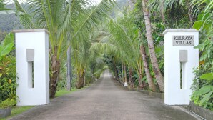 Un sentier bordé d’une végétation luxuriante et de palmiers mène à un panneau indiquant « KULRAYA VILLAS ».