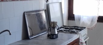 Il Tolipano