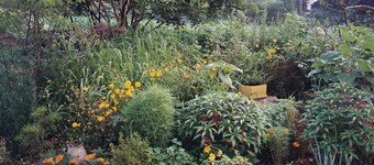 シウリカントリーサイドリトリート