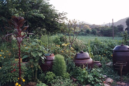 Siuri Countryside retreat