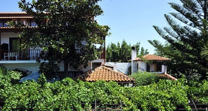 Sofia Studios