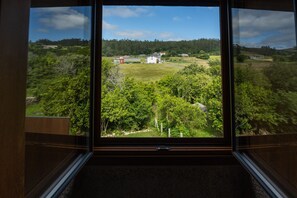 Egyptian cotton sheets, premium bedding, down comforters - Casa a Pichona (Dumbria)