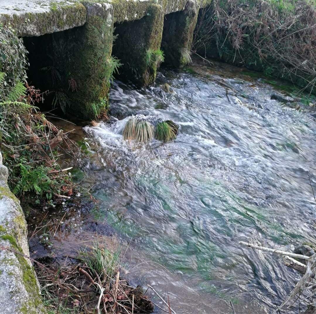 A stream flowing under a stone bridge with moss-covered pillars.