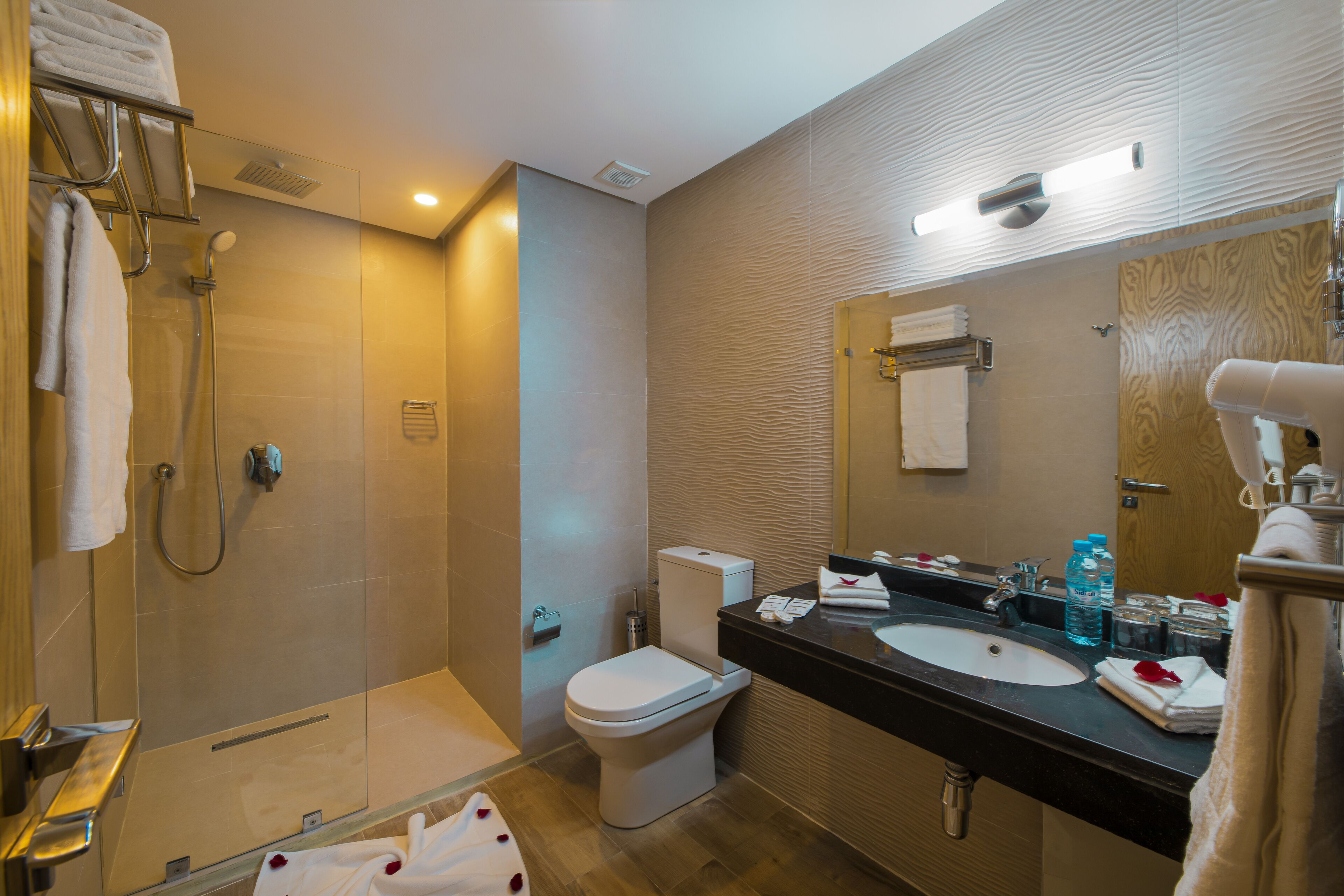 standard double or twin room | bathroom | shower, rainfall showerhead, free toiletries, hair dryer