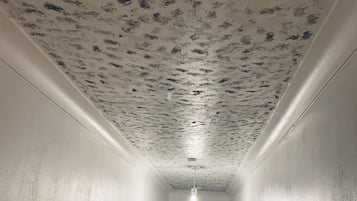 Apartment, Multiple Beds | Interior