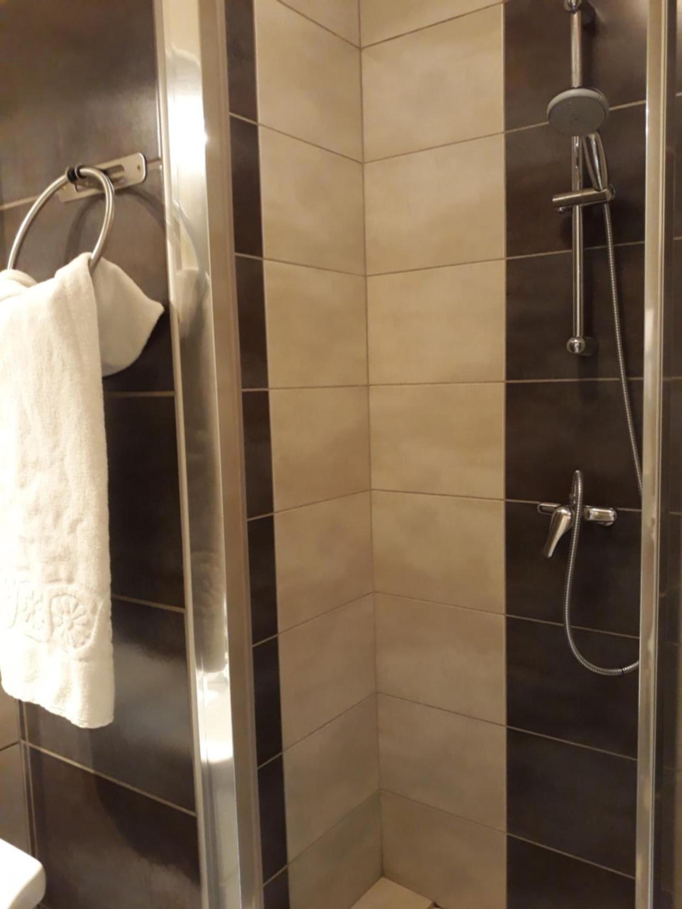 shower, hair dryer, towels, toilet paper