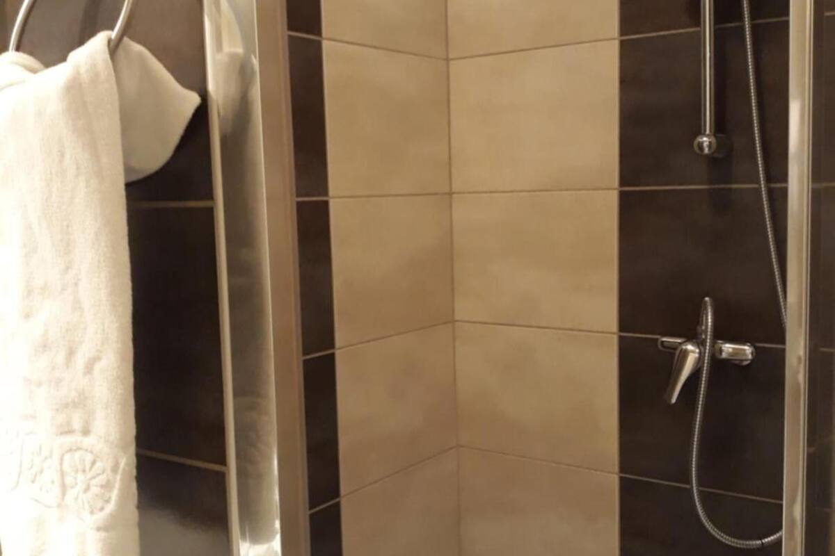 shower, hair dryer, towels, toilet paper