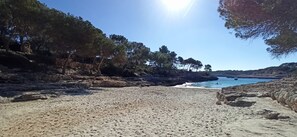 Playa en los alrededores 