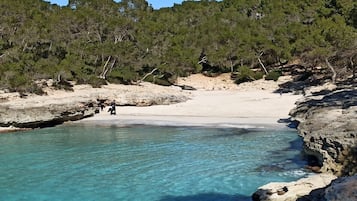 Vlak bij het strand
