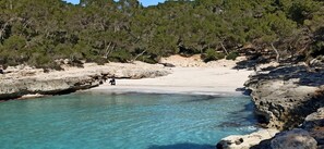 Playa en los alrededores 