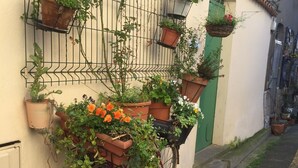 En cykel med en kurv fyldt med planter og blomster, et skilt med teksten "LOCAVELO", og en grøn dør.