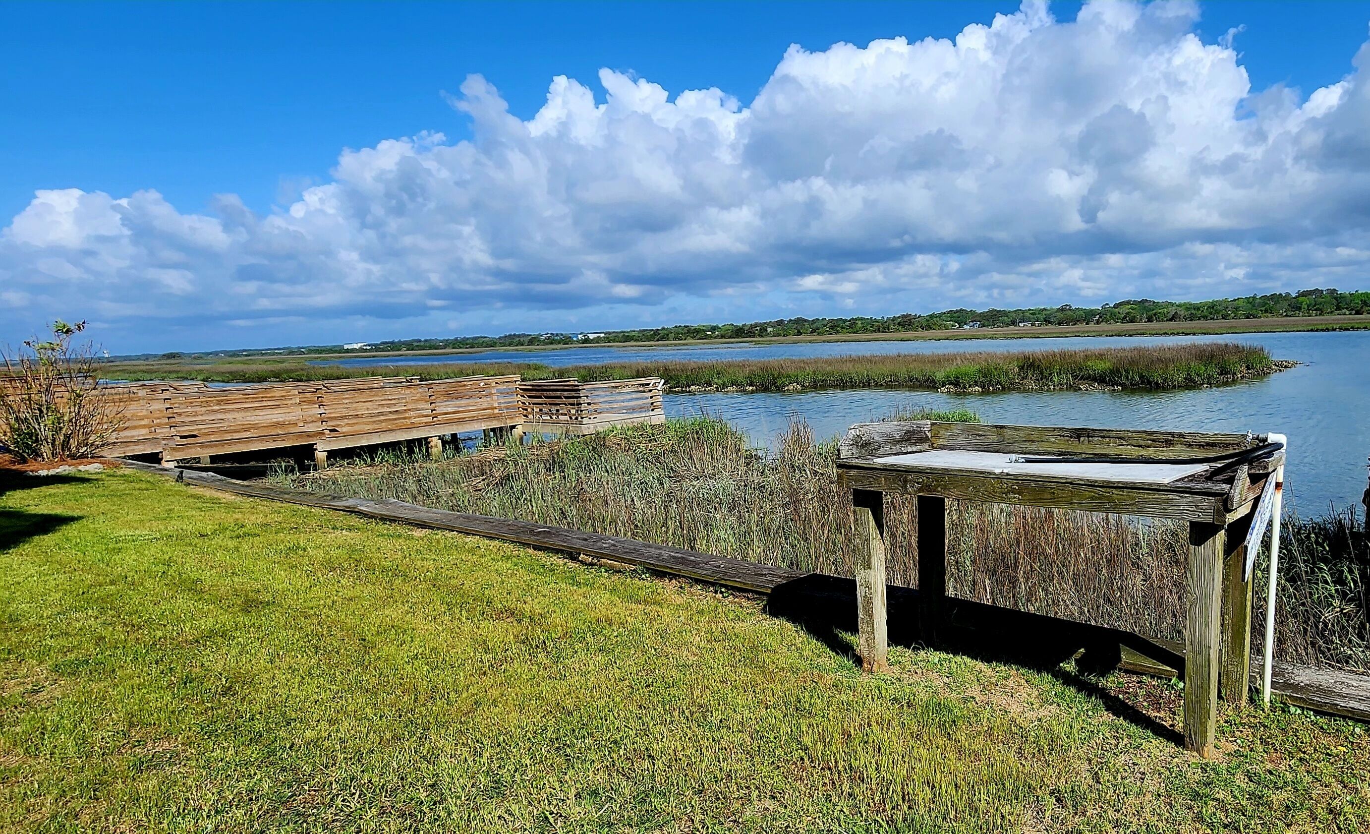 Une jetée en bois s’étendant dans une étendue d’eau calme, entourée de zones herbeuses et d’une végétation dense.