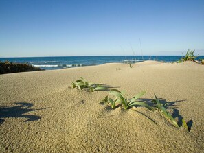Beach - Wonderful private villa for 10 guests with A/C, TV, terrace and pets allowed (Sorso)