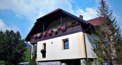 Family apartment Ana