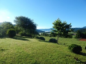 Property grounds - Family apartment Ana (Ljubno ob Savinji)