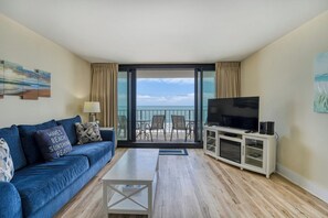 電視、壁爐、DVD 播放機