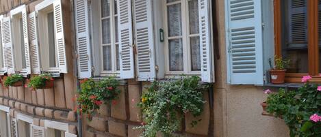 Detalle del exterior