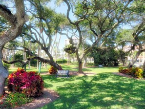 Un parc avec de grands arbres, une pelouse et un banc.