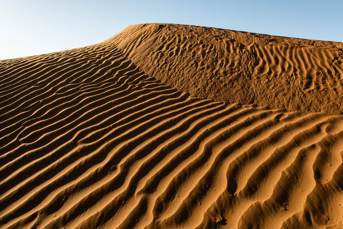 Un paysage désertique avec des dunes de sable ondulantes et un ciel dégagé.